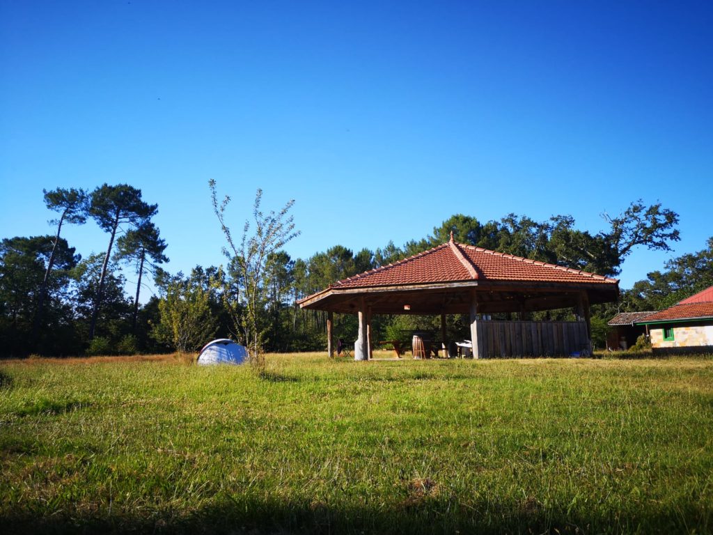 August 14 - 18, 2020: Yoga retreat in the heart of nature, near Bordeaux Prévention Yoga Massage