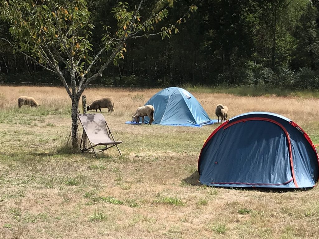 August 14 - 18, 2020: Yoga retreat in the heart of nature, near Bordeaux Prévention Yoga Massage