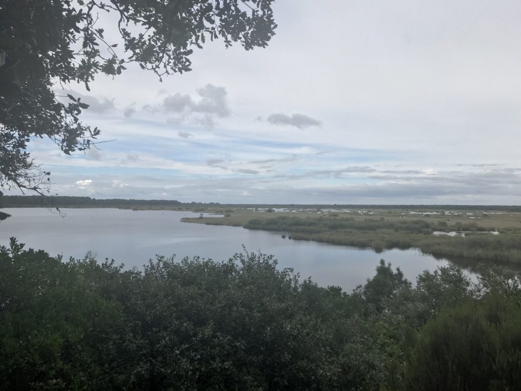 14 - 18 août 2020 : Retraite de Yoga au cœur de la nature, près de Bordeaux Prévention Yoga Massage