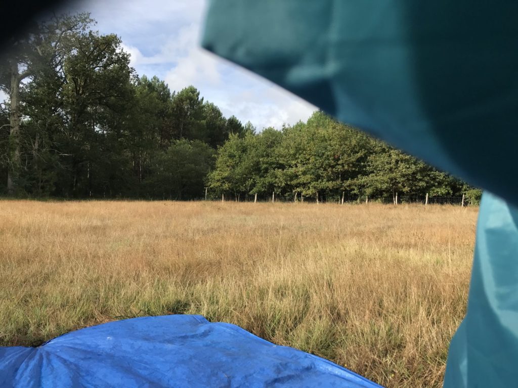 August 14 - 18, 2020: Yoga retreat in the heart of nature, near Bordeaux Prévention Yoga Massage