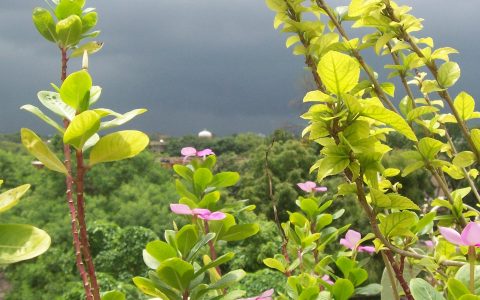 Retrouver une respiration naturelle, pour gérer le stress quotidien.