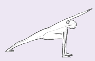 Formation en Yoga Préventif